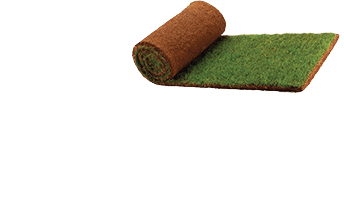 The Sodfather