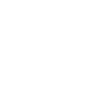 Clever Canadian Logo White
