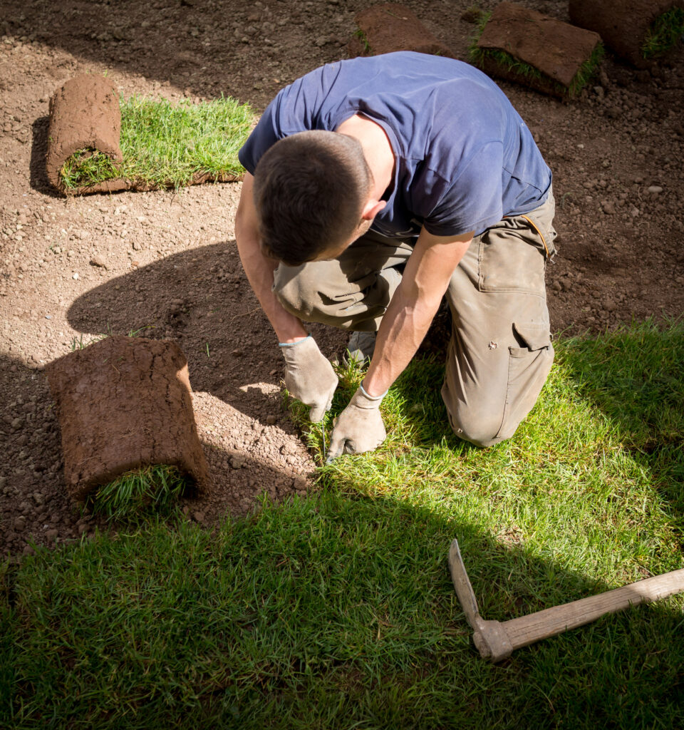 Sod Installation 4 gardener installing natural grass turfs creating beautiful lawn field 1